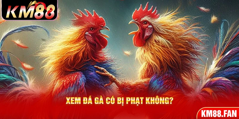 Xem đá gà có bị phạt không?