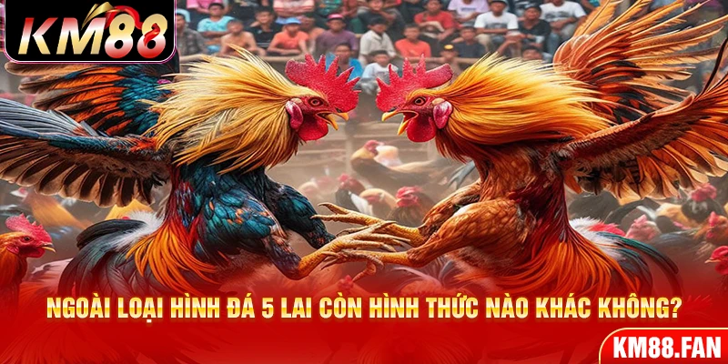 Ngoài loại hình đá 5 lai còn hình thức nào khác không?