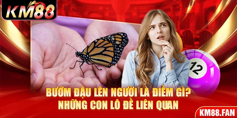 Bướm đậu lên người là điềm gì? Những con lô đề liên quan