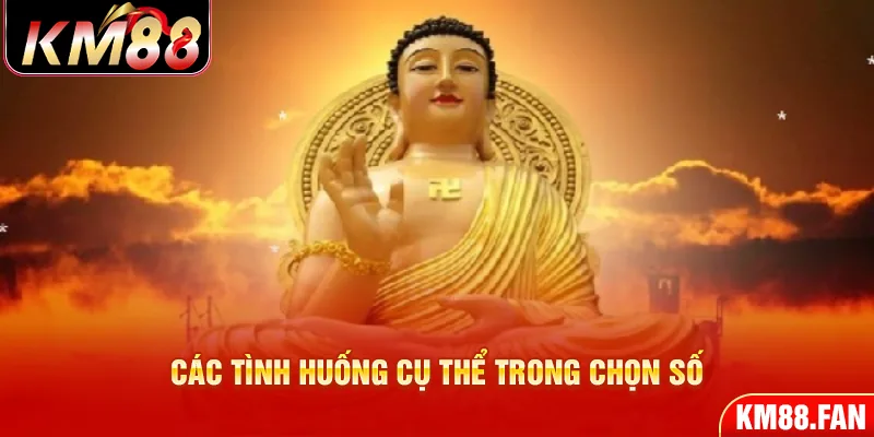 Các tình huống cụ thể trong chọn số