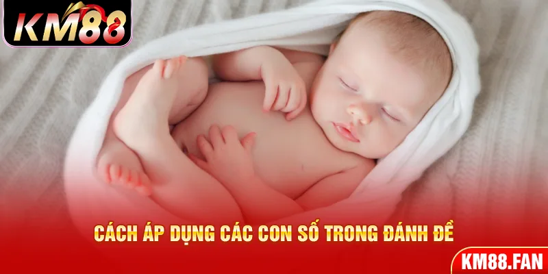 Cách áp dụng của giấc mơ trong chọn số 