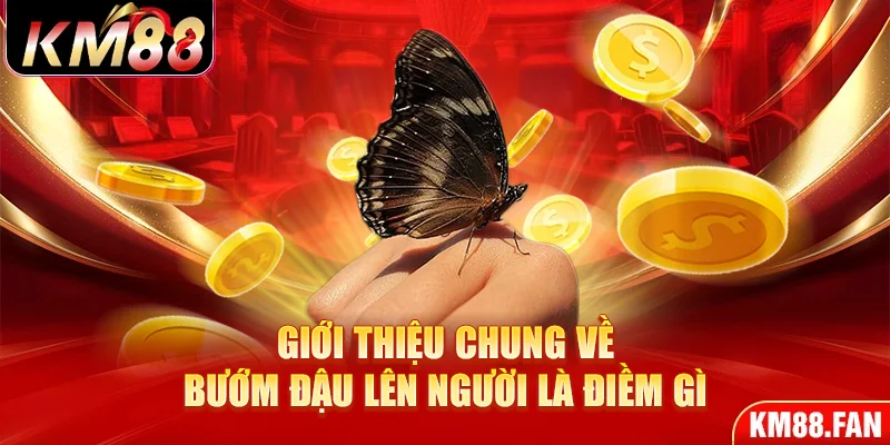 Giới thiệu chung về bướm đậu lên người là điềm gì