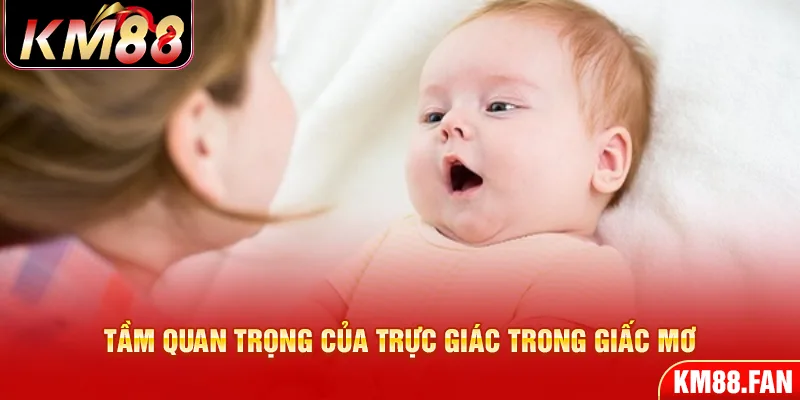 Tầm quan trọng của trực giác trong giấc mơ